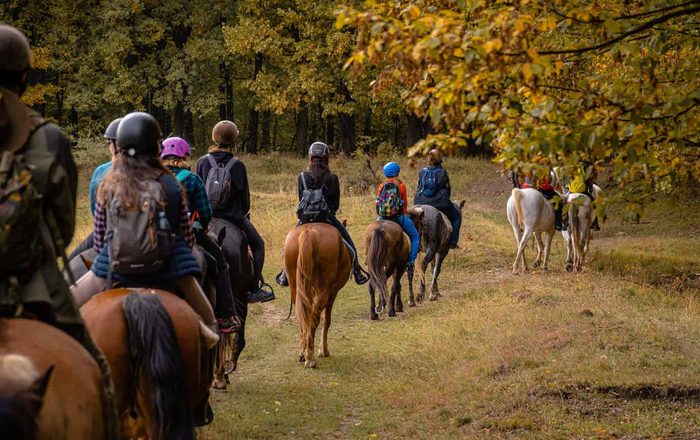 Plimbare călare la Centrul Ecvestru Husar