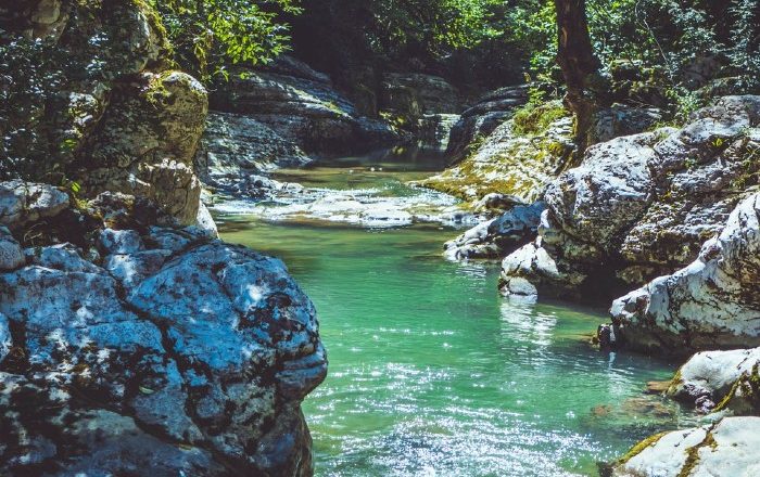 Izvoare cu apă calcică din zona Slănicului